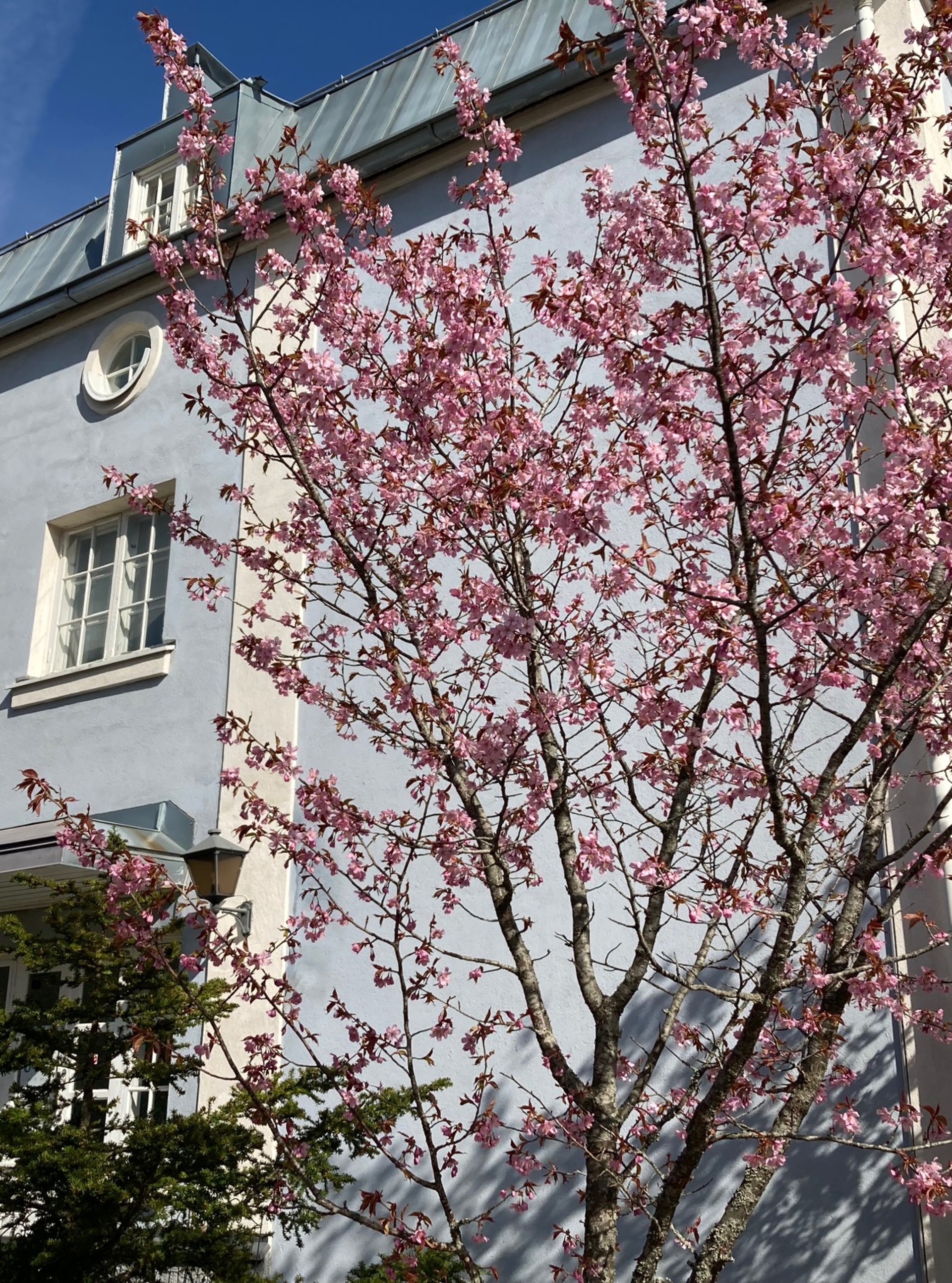 Psykoterapiavastaanotto Hyvinkään keskustassa